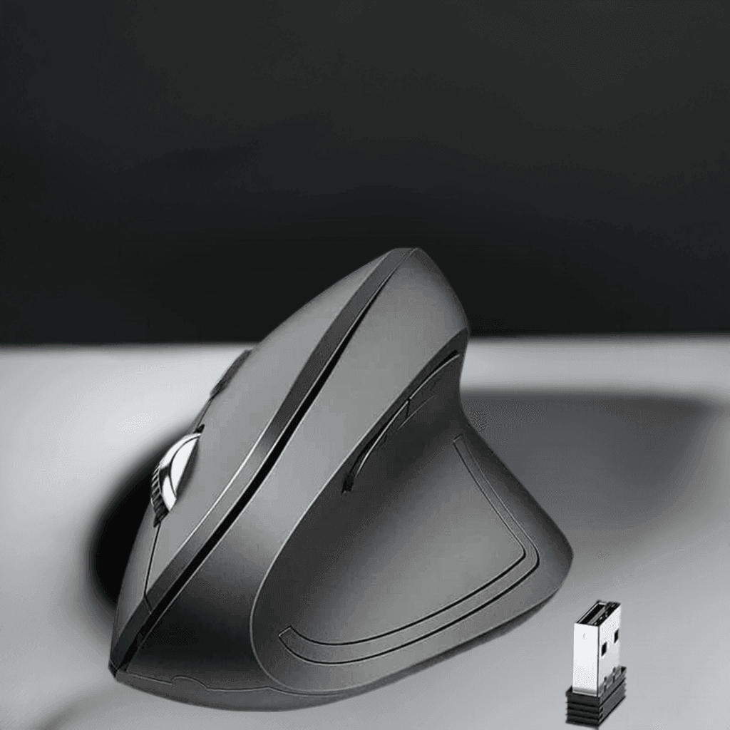 SARAOU iClever WM101 ergonomic mouse, vertical wireless - SARAOU