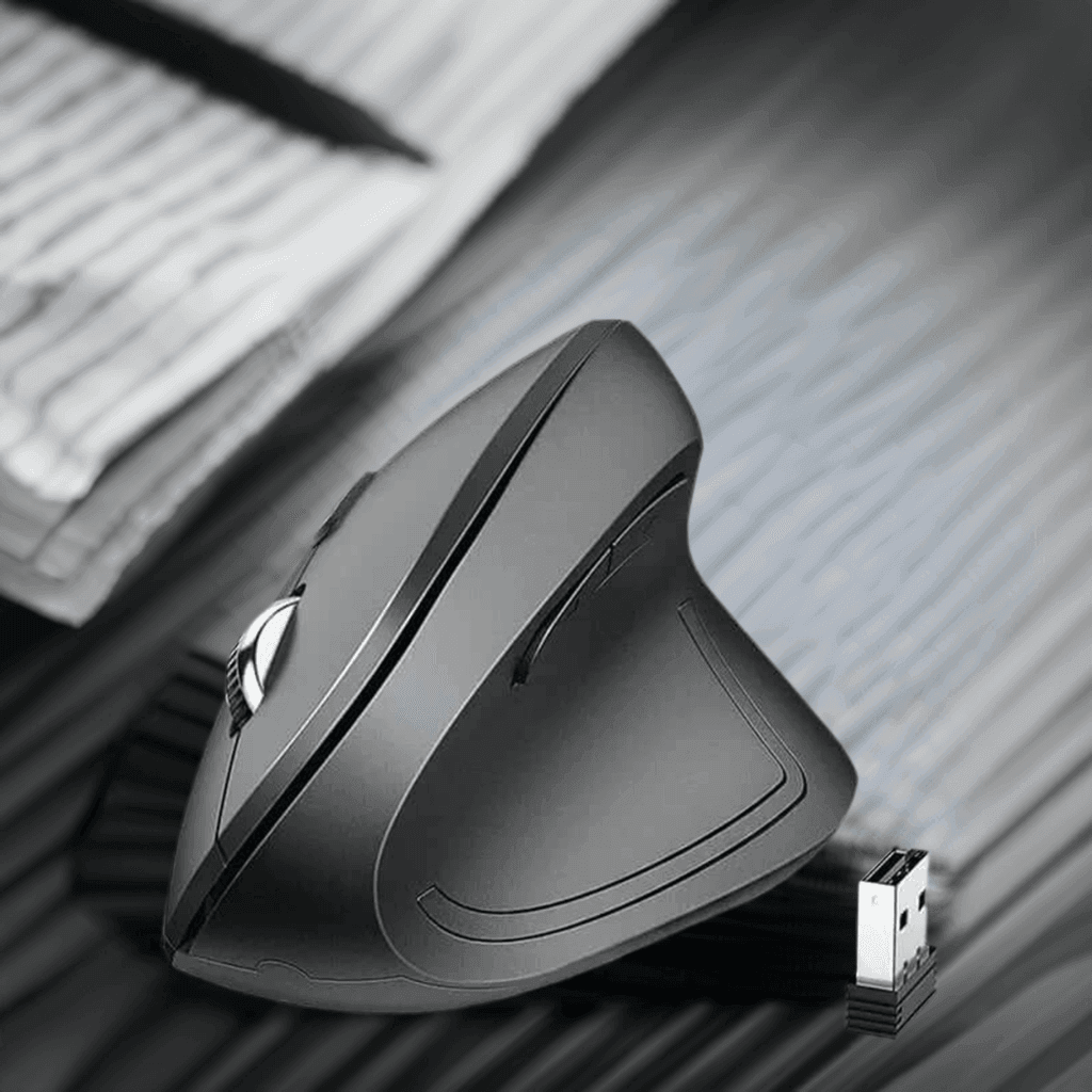 SARAOU iClever WM101 ergonomic mouse, vertical wireless - SARAOU