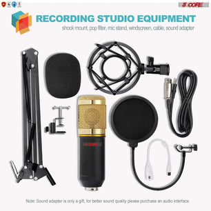  Microphone Kit W/ Arm Stand Game Chat Audio Recording Computer REC SET