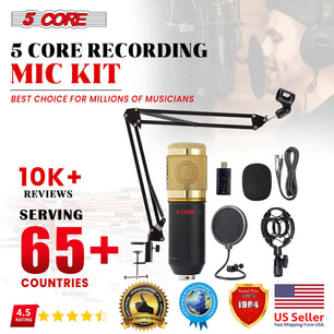  Microphone Kit W/ Arm Stand Game Chat Audio Recording Computer REC SET